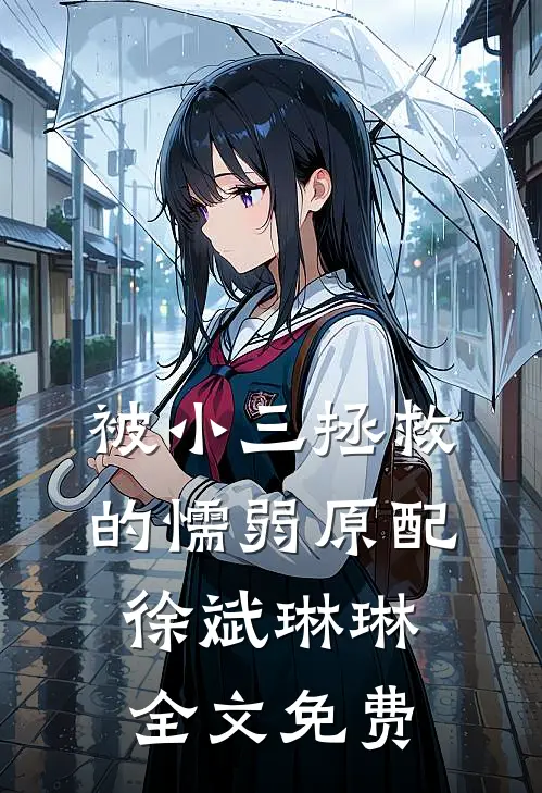 被小三拯救的懦弱原配徐斌琳琳全文免费