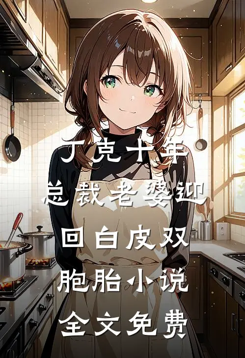 丁克十年，总裁老婆迎回白皮双胞胎小说全文免费