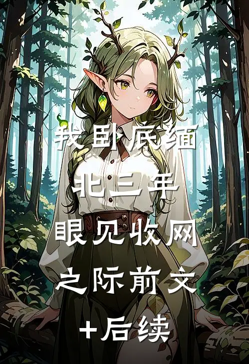 我卧底缅北三年，眼见收网之际前文+后续