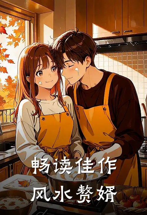 畅读佳作风水赘婿