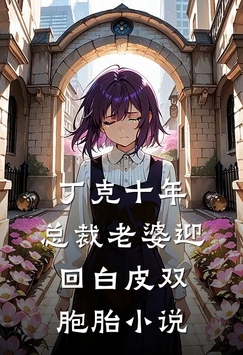丁克十年，总裁老婆迎回白皮双胞胎小说
