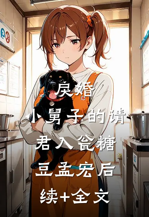 戾婚：小舅子的请君入瓮糖豆孟宏后续+全文
