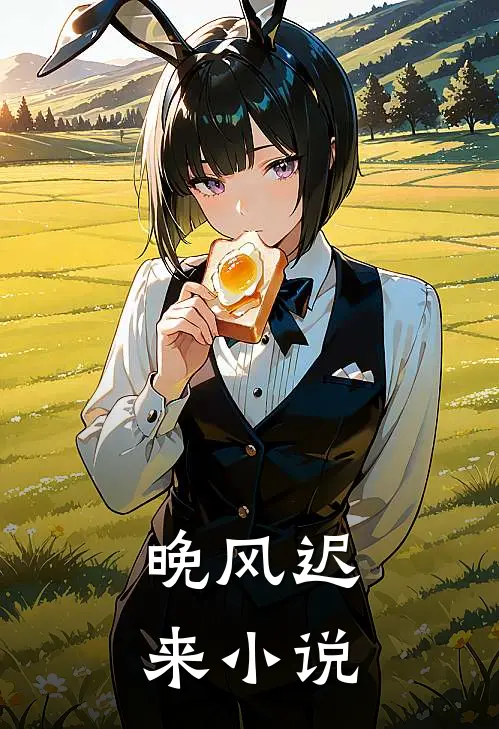 晚风迟来小说
