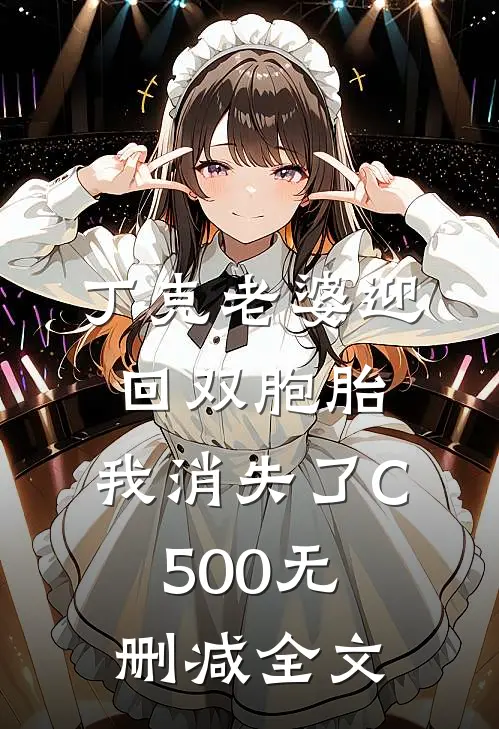 丁克老婆迎回双胞胎，我消失了C500无删减全文