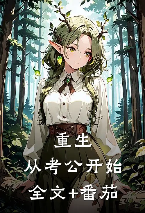 重生：从考公开始全文+番茄
