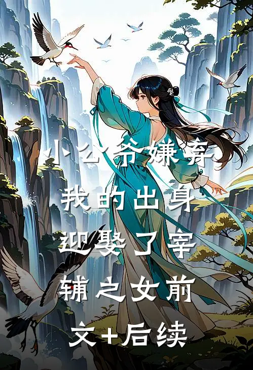 小公爷嫌弃我的出身，迎娶了宰辅之女前文+后续