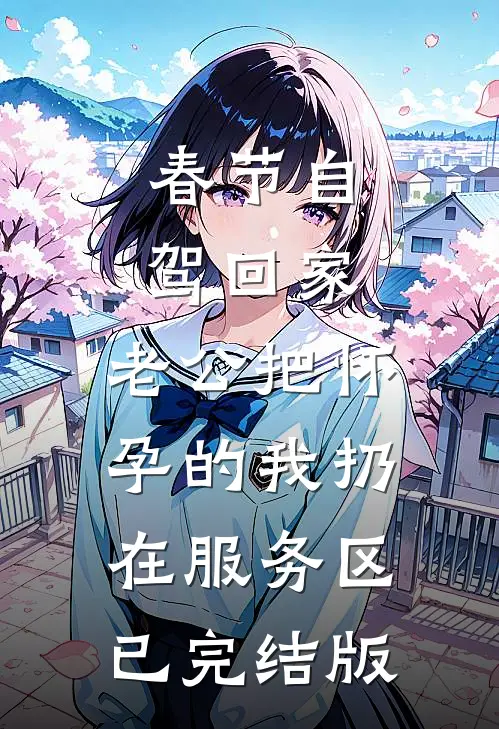 春节自驾回家，老公把怀孕的我扔在服务区已完结版