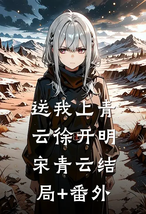 送我上青云徐开明宋青云结局+番外