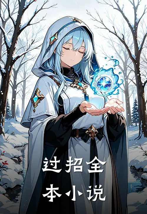 过招全本小说