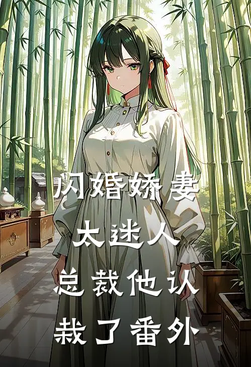 闪婚娇妻太迷人：总裁他认栽了 番外
