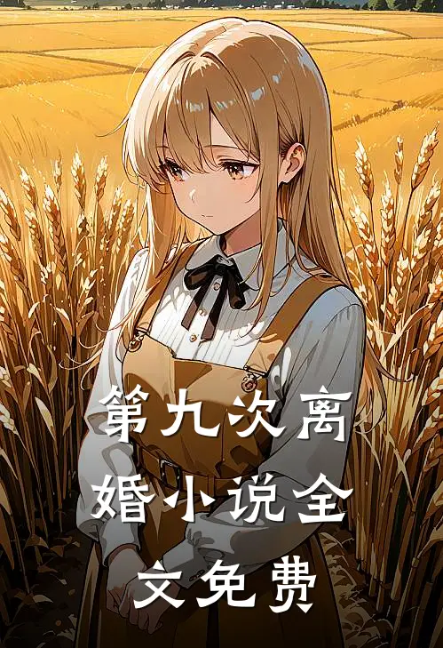 第九次离婚小说全文免费