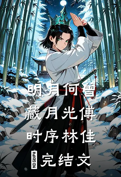 明月何曾藏月光傅时序林佳玥完结文