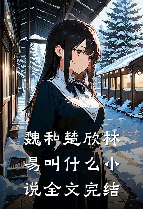魏和楚欣林易叫什么小说全文完结