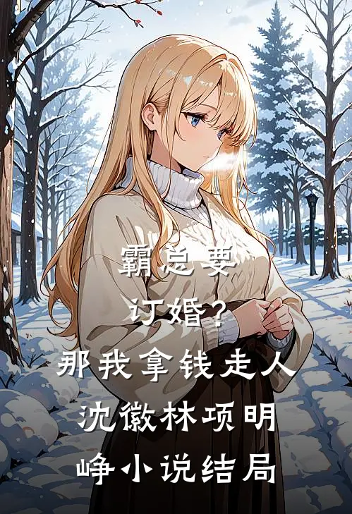 霸总要订婚？那我拿钱走人沈徽林项明峥小说结局