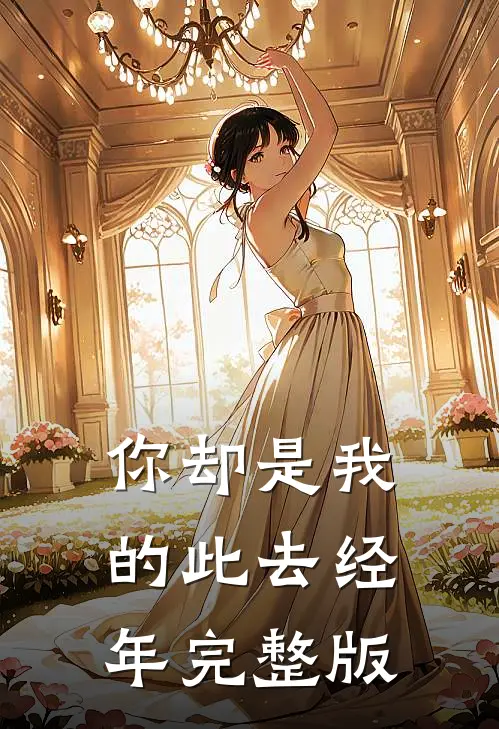 你却是我的此去经年完整版