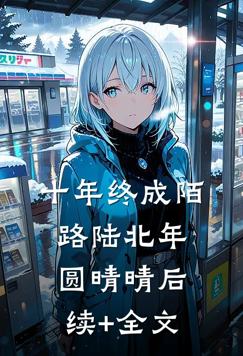 十年终成陌路陆北年圆晴晴后续+全文