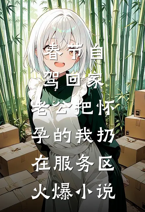 春节自驾回家，老公把怀孕的我扔在服务区火爆小说
