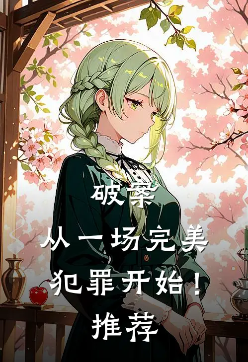 破案：从一场完美犯罪开始！推荐