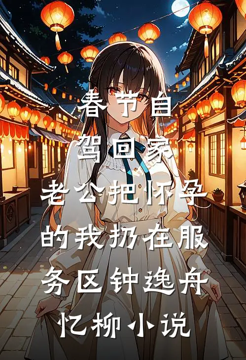 春节自驾回家，老公把怀孕的我扔在服务区钟逸舟忆柳小说