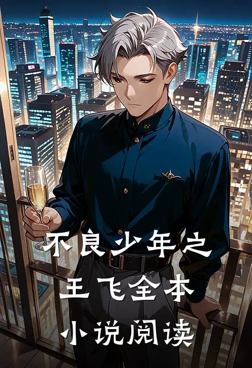 不良少年之王飞全本小说阅读