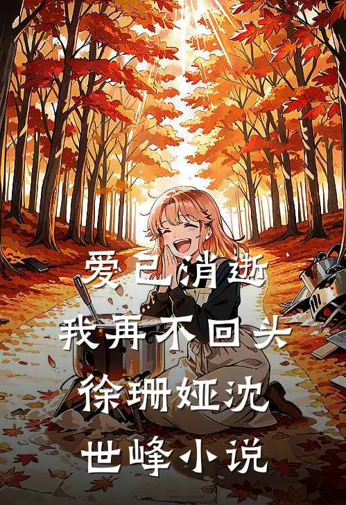 爱已消逝，我再不回头徐珊娅沈世峰小说