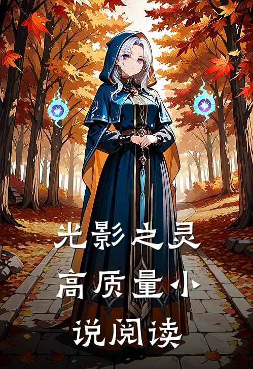 光影之灵高质量小说阅读
