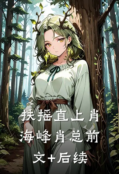 扶摇直上肖海峰肖总前文+后续