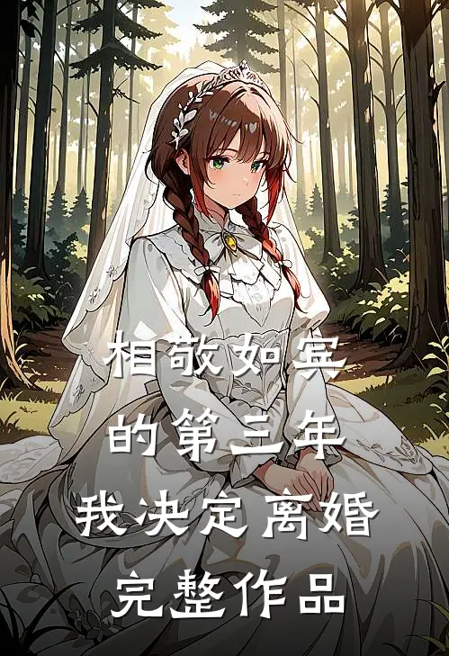 相敬如宾的第三年，我决定离婚完整作品