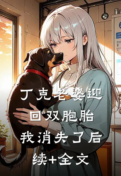 丁克老婆迎回双胞胎，我消失了后续+全文