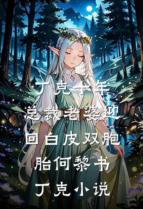 丁克十年，总裁老婆迎回白皮双胞胎何黎书丁克小说