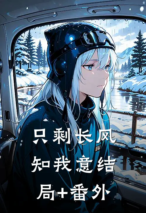只剩长风知我意结局+番外