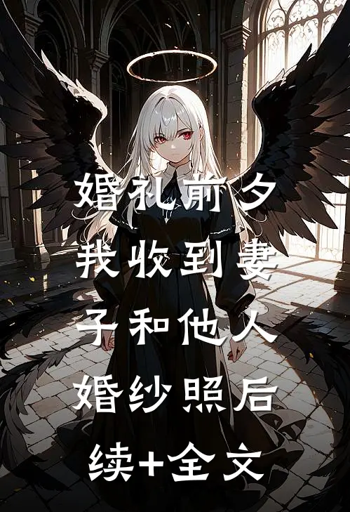 婚礼前夕，我收到妻子和他人婚纱照后续+全文