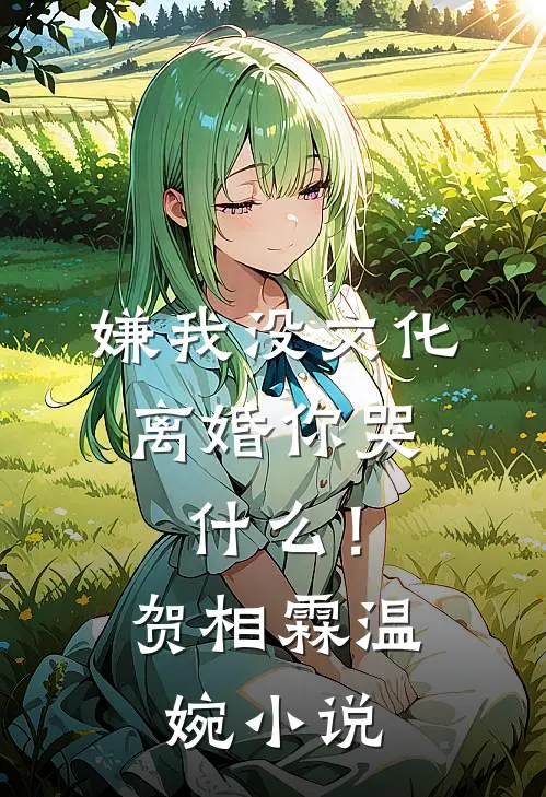 嫌我没文化，离婚你哭什么！贺相霖温婉小说