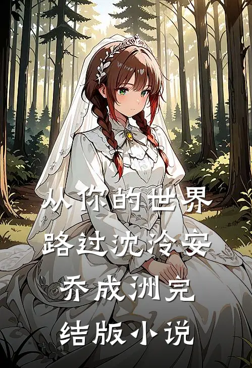 从你的世界路过沈泠安乔成洲完结版小说