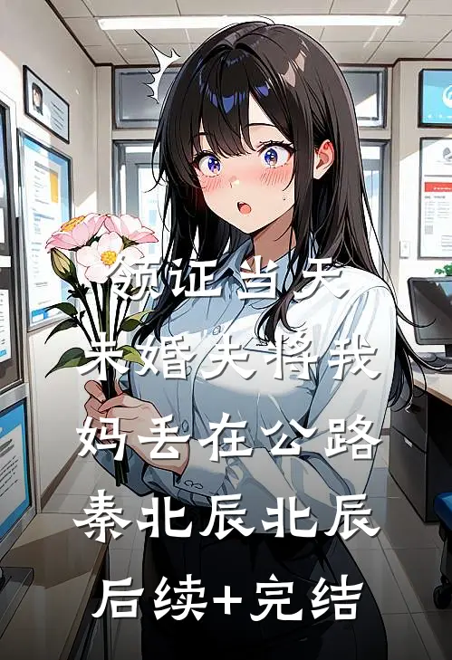 领证当天，未婚夫将我妈丢在公路秦北辰北辰后续+完结