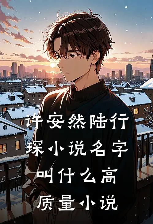 许安然陆行琛小说名字叫什么高质量小说