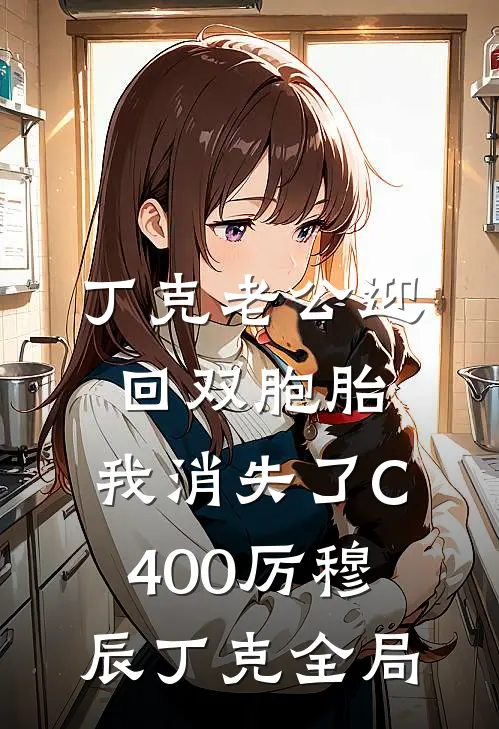 丁克老公迎回双胞胎，我消失了C400厉穆辰丁克全局
