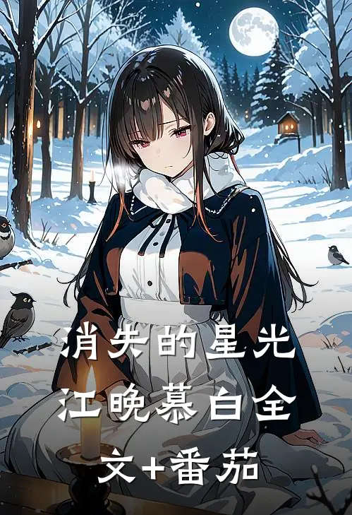 消失的星光江晚慕白全文+番茄