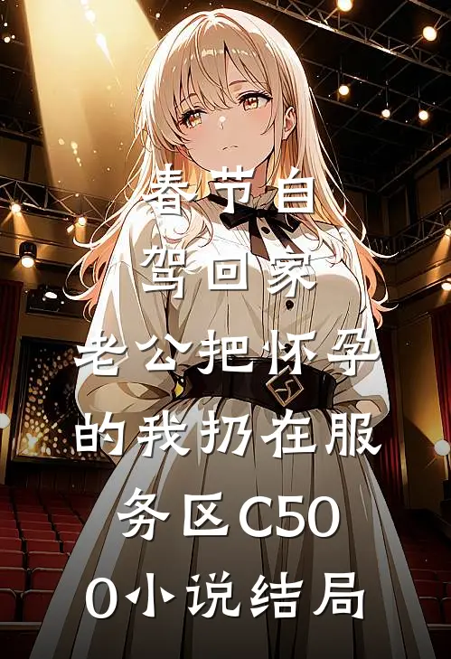 春节自驾回家，老公把怀孕的我扔在服务区C500小说结局