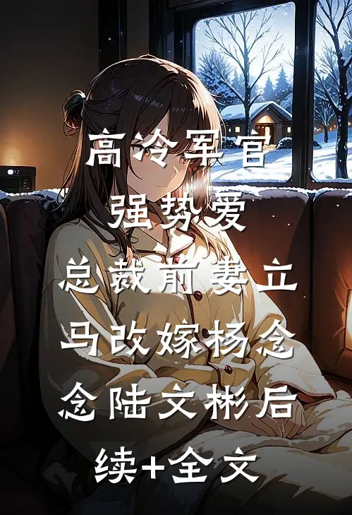 高冷军官强势爱，总裁前妻立马改嫁杨念念陆文彬后续+全文