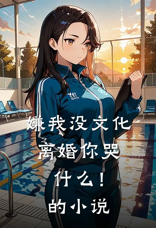 嫌我没文化，离婚你哭什么！的小说