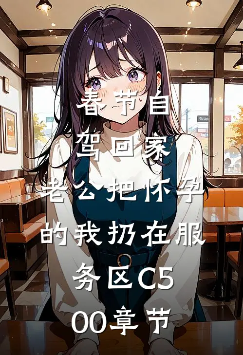 春节自驾回家，老公把怀孕的我扔在服务区C500章节