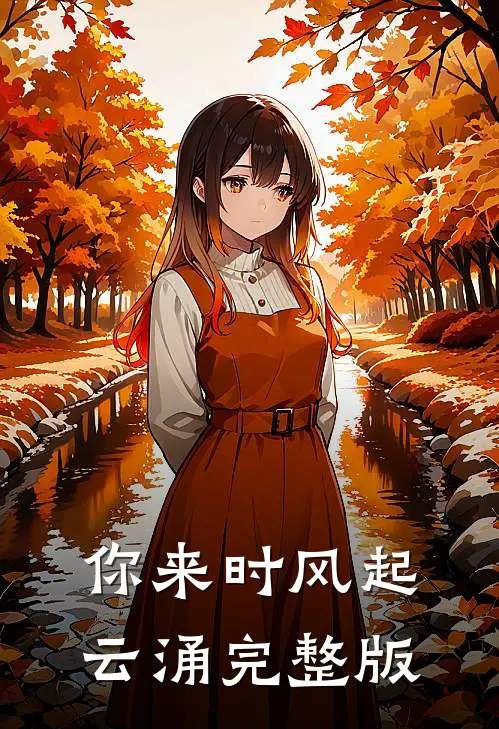 你来时风起云涌完整版