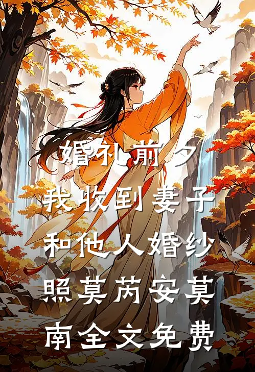 婚礼前夕，我收到妻子和他人婚纱照莫芮安莫南全文免费