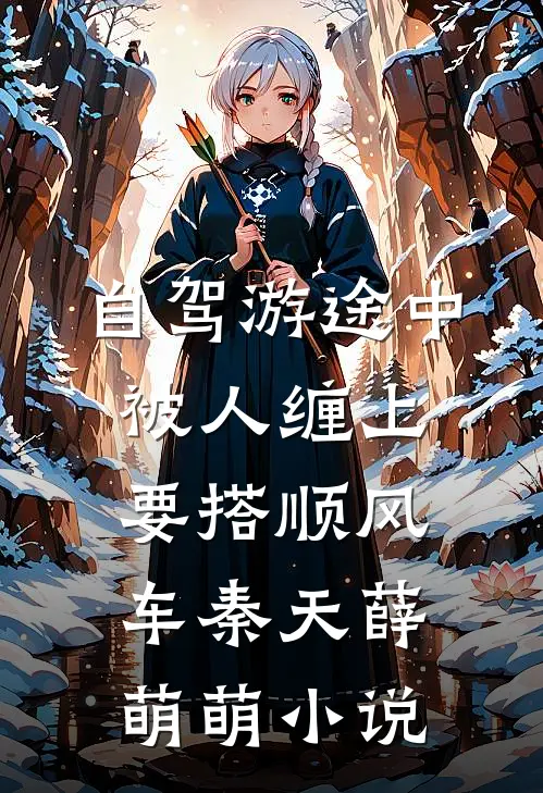 自驾游途中，被人缠上要搭顺风车秦天薛萌萌小说