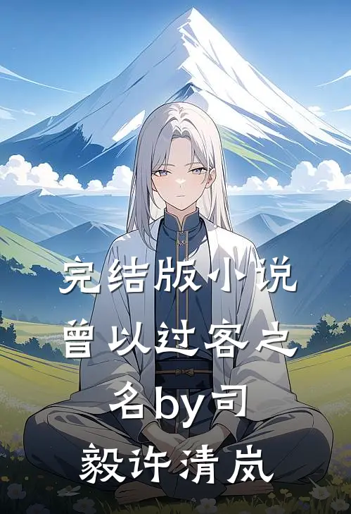 完结版小说曾以过客之名by司毅许清岚
