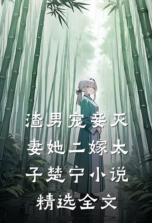 渣男宠妾灭妻她二嫁太子楚宁小说精选全文
