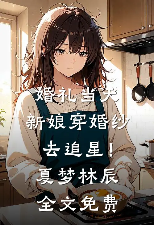 婚礼当天，新娘穿婚纱去追星！夏梦林辰全文免费