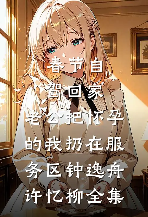 春节自驾回家，老公把怀孕的我扔在服务区钟逸舟许忆柳全集