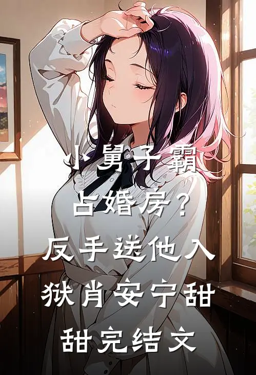小舅子霸占婚房？反手送他入狱肖安宁甜甜完结文